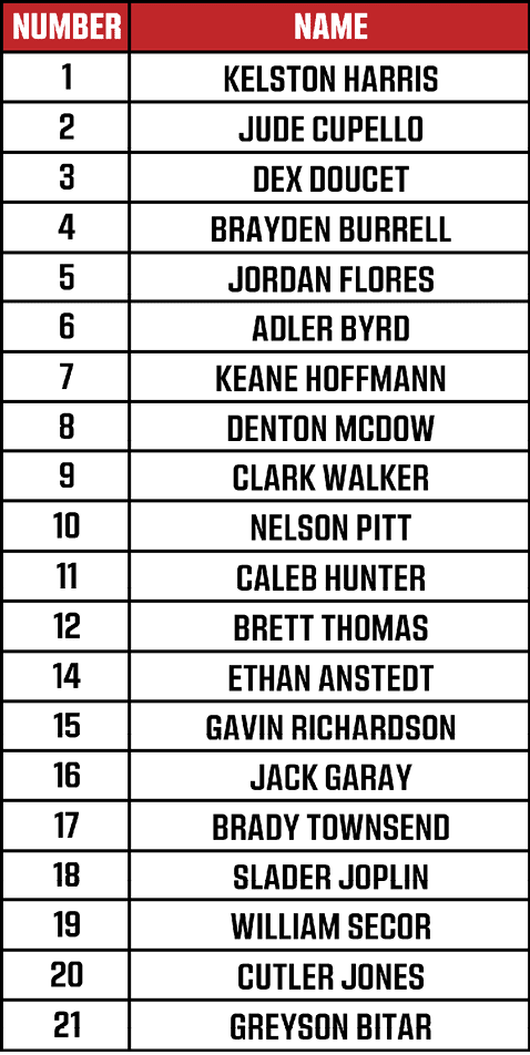A list of names and numbers is displayed in a red and white table format with the headers “Number" and "Name." Description generated by AI