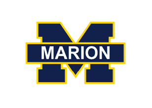 A logo for the University of Michigan is displayed in blue, yellow, and navy. AI generated content