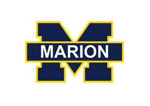A logo for the University of Michigan is displayed in blue, yellow, and navy. AI generated content