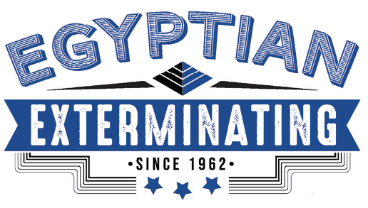 A logo for Egyptian Exterminating since 1962. AI generated content