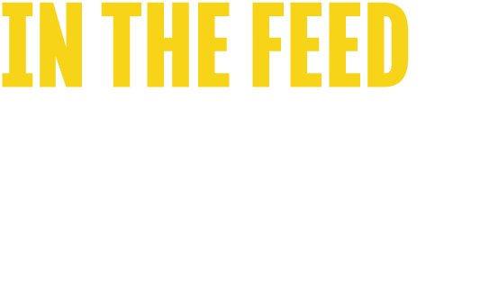 IN THE FEED