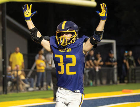 A person wearing a blue and yellow football uniform with the number 32 is celebrating with arms raised on a football field. Description generated by AI