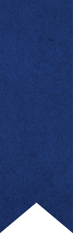 A vertical blue ribbon with a pointed bottom and a textured pattern. Description generated by AI
