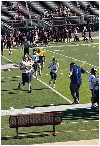 Adults and children are seated on bleachers watching a group of athletes in maroon and white uniforms gathered on a field below. Description generated by AI