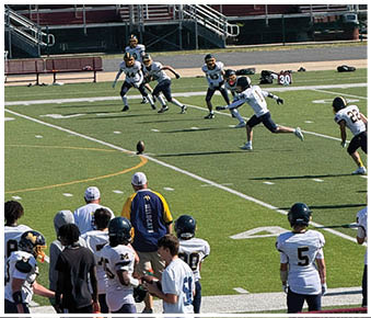 Several people in football uniforms are playing on a field while a small group of people sit scattered in the bleachers behind them. Description generated by AI