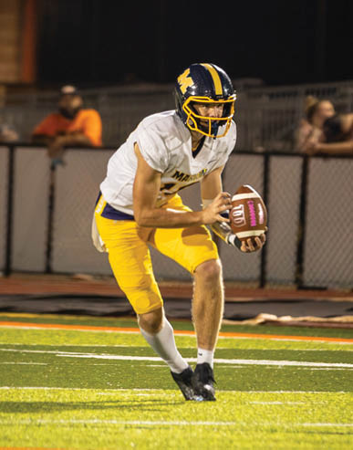 A person wearing a football uniform with a helmet is holding a football and appears to be preparing to throw it on a lit football field at night. Description generated by AI