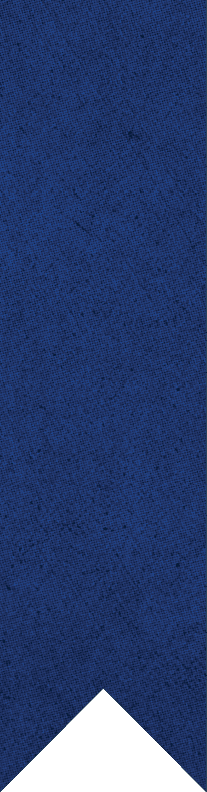 A vertical blue ribbon with a pointed bottom and a textured pattern. Description generated by AI