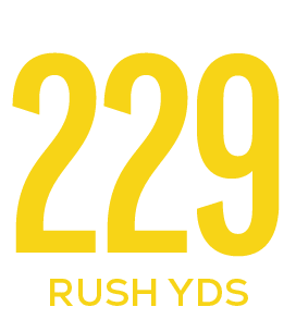 rush yds,22