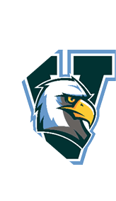 A stylized eagle head with a fierce expression is superimposed on a large dark green letter V outlined in light blue. Description generated by AI