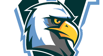 A stylized eagle head with a fierce expression is depicted in bold colors with a large letter V in the background. Description generated by AI