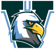 A stylized eagle head with a fierce expression is superimposed on a large dark green letter V outlined in light blue. Description generated by AI