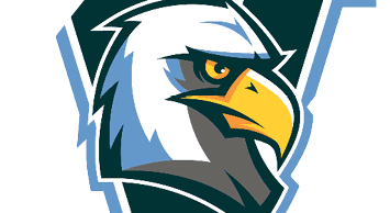 A stylized eagle head with a fierce expression is set against a large letter V in a bold graphic design. Description generated by AI