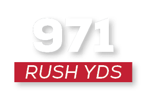RUSH YDS,97
