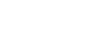 Vice President of Volunteers