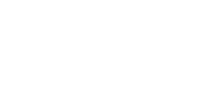 Lily Brett