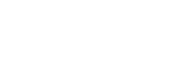Vice President of Volunteers