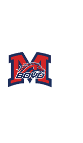 A blue and red logo of a lion. Description generated by AI