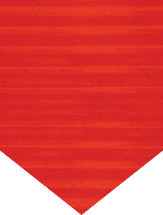 Polygon