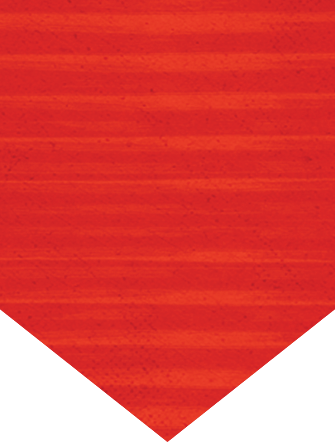 Polygon