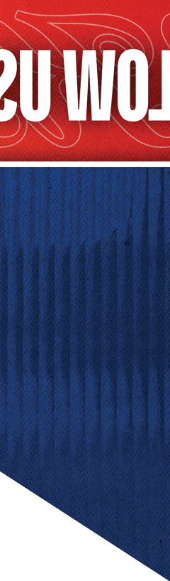 A blue and white patterned wallpaper. Description generated by AI