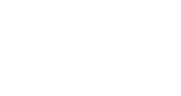 WILDFIRE VARSITY