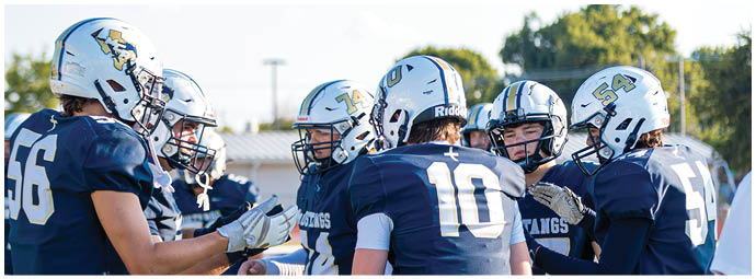 A football player wearing a blue and white uniform. Description generated by AI