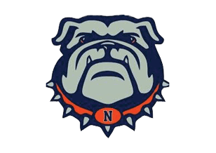A bulldog mascot with a blue and orange necklace. Description generated by AI