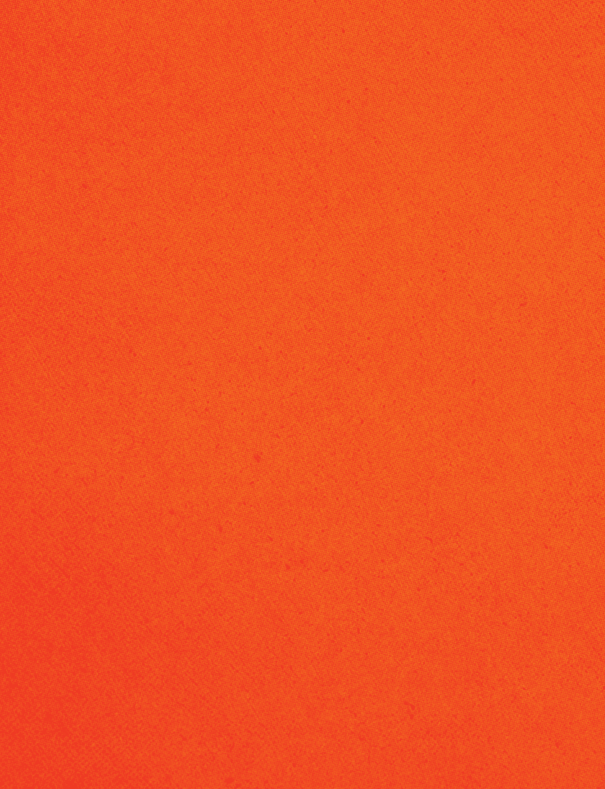 An orange background with a red stripe. Description generated by AI