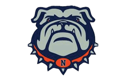 A bulldog mascot with a blue and orange necklace. Description generated by AI