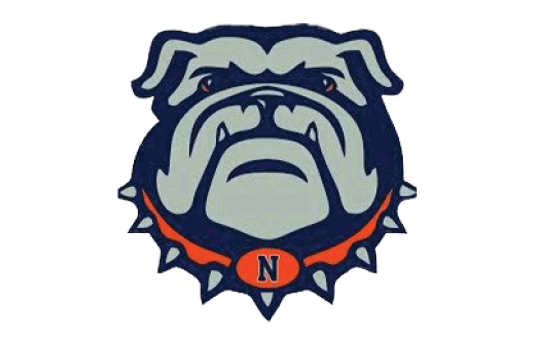 A bulldog mascot with a blue and orange necklace. Description generated by AI