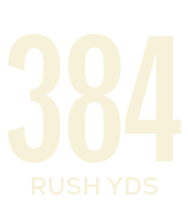 rush yds,38
