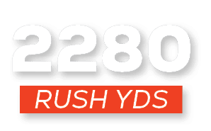 RUSH YDS,228