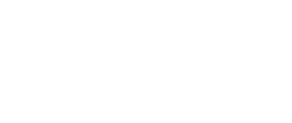313