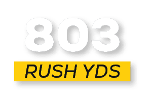 RUSH YDS,80