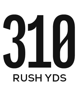 rush yds,31