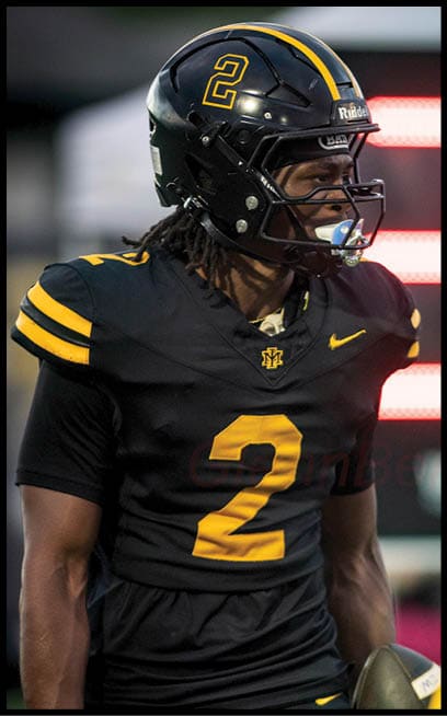 Two football players in black and yellow uniforms are engaged in a game, with one holding a football and wearing a helmet with the number 2. Description generated by AI