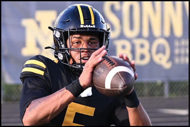 A person wearing a black and yellow football uniform and helmet is preparing to throw a football on a field with a blurred background. Description generated by AI