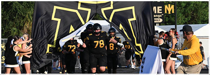 A group of football players on a field. Description generated by AI