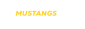 $$$/StateType/Normal