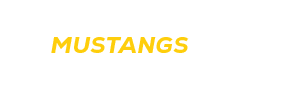 $$$/StateType/Normal