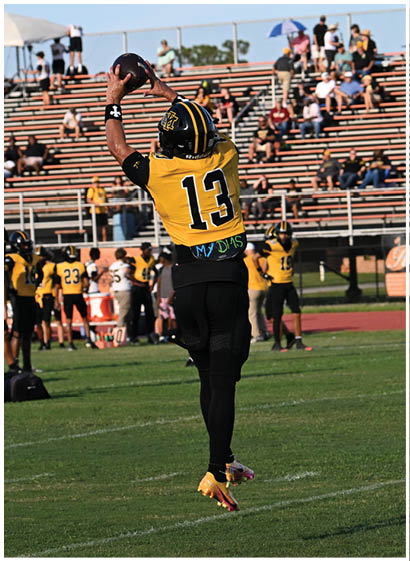 A football player wearing a blue and white uniform. Description generated by AI
