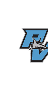 A blue and white logo for Valor. Description generated by AI