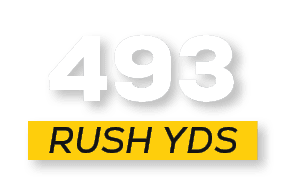 RUSH YDS,49