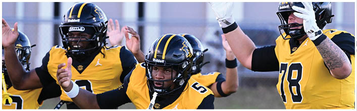 A football player is sliding on the ground. Description generated by AI