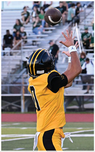 A football player running on the field. Description generated by AI