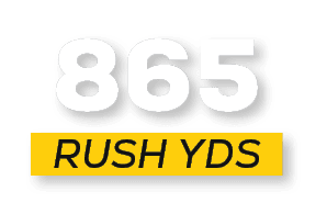 RUSH YDS,86