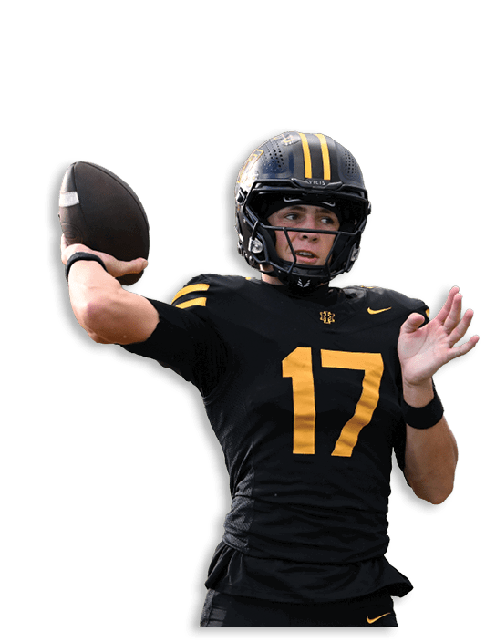 A person wearing a black and yellow football uniform with the number 17 is preparing to throw a football. Description generated by AI