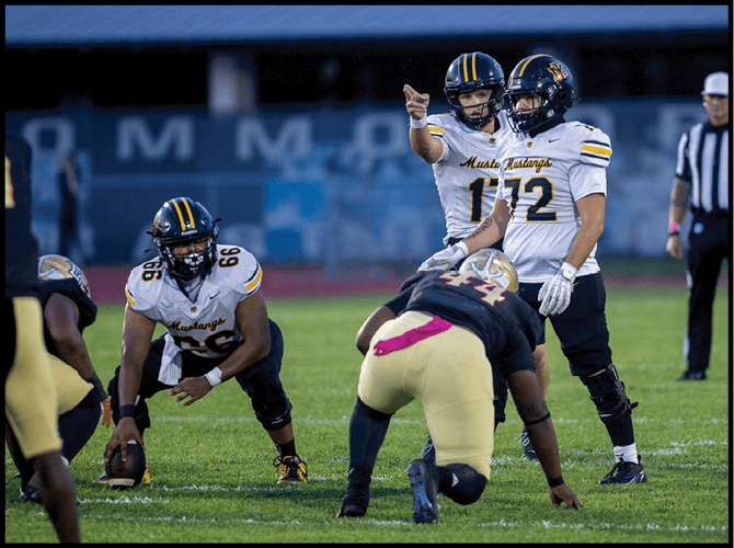 Two people in football uniforms are on a field, with one person preparing to throw a football and the other wearing a helmet and jersey number 99. Description generated by AI