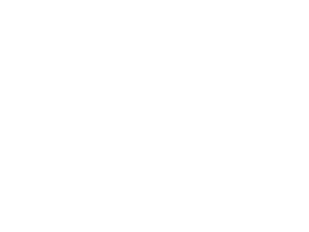 BRONX RODRIGUEZ 