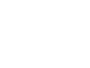 AYDEN MCLELLAN 